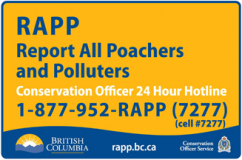 RAPP Report all poacher and polluters | conservation officer 24 hotline | 1-877-953-7277